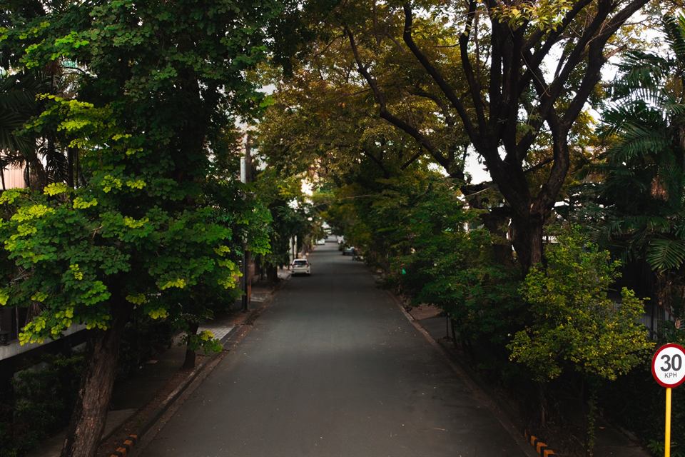 A village street roofed by trees, seen from above