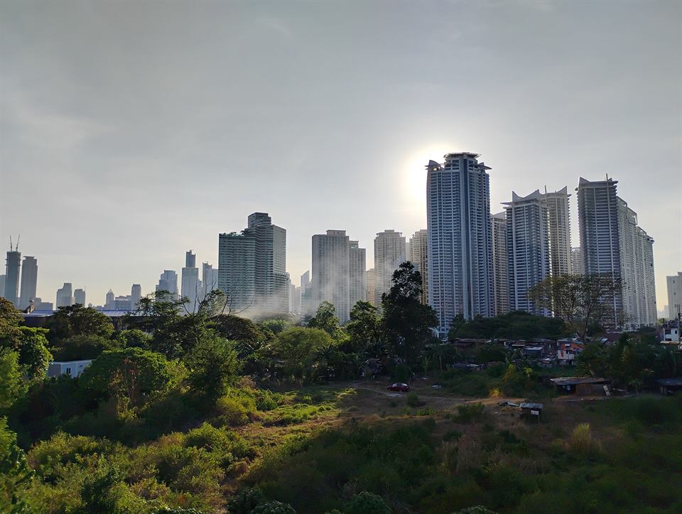 The Makati skyline above a band of trees
