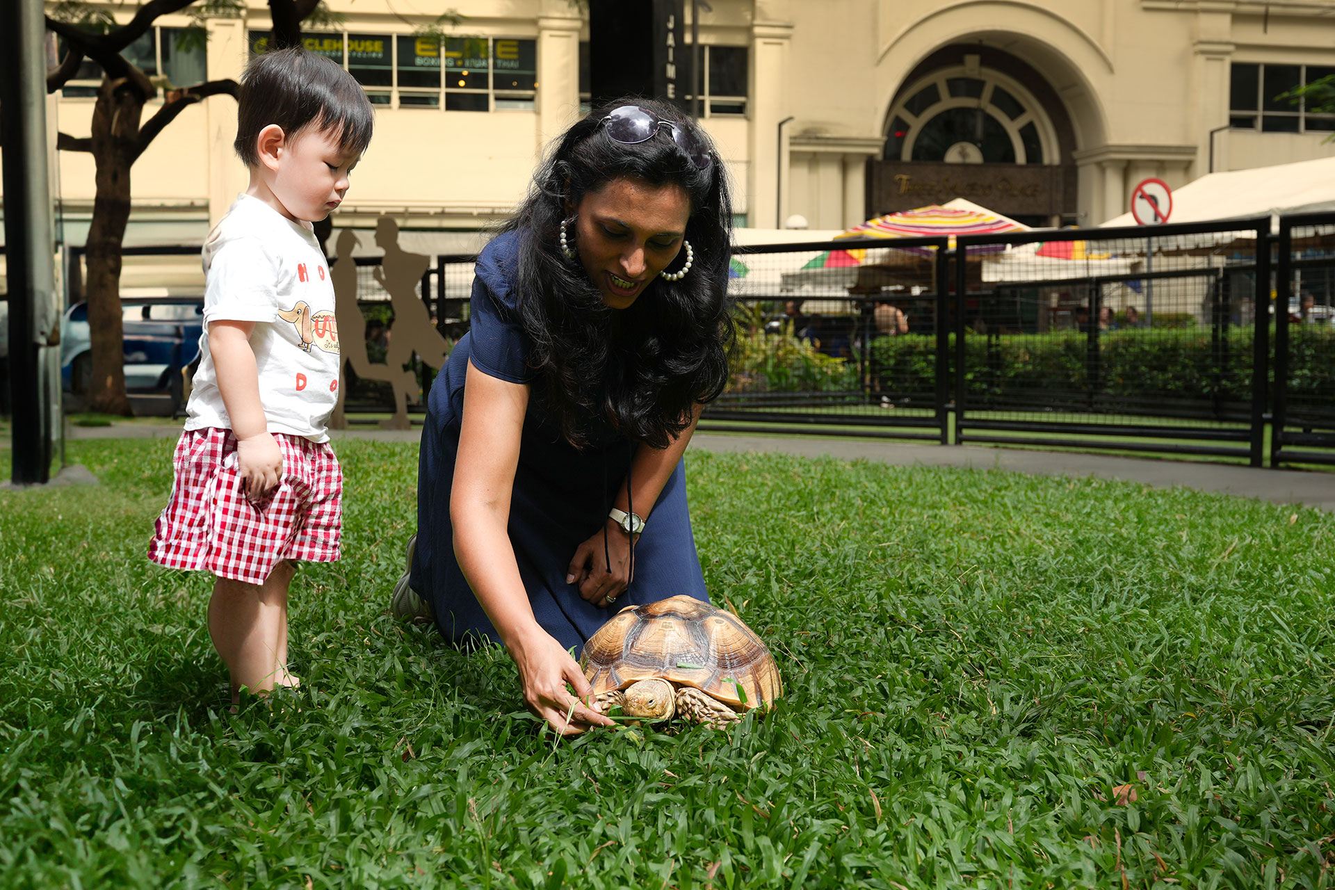 A mother and child with a tortoise on a park lawn