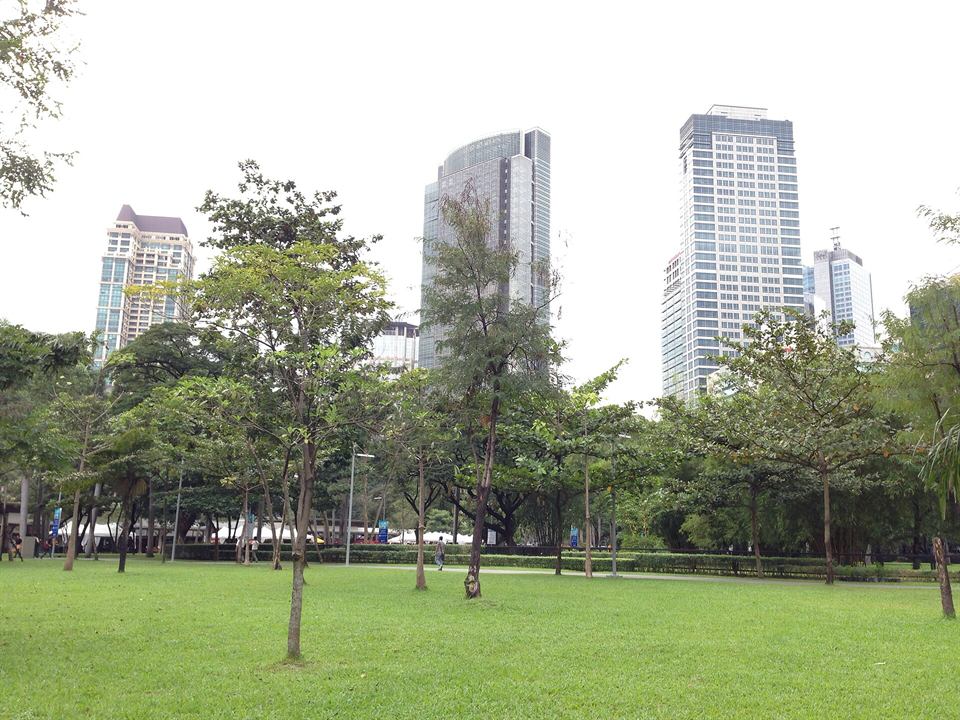 Ayala Triangle Gardens with its lawns and trees